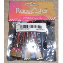 RACERSTAR DSHOT 35A 4 PEZZI BLheli S 2-6S LIPO