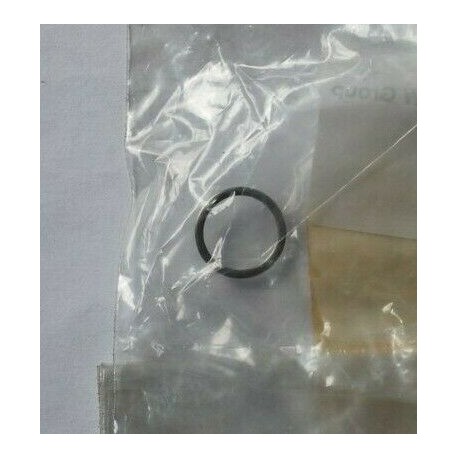 13627811934 ANELLO DI TENUTA A12X15,5 NUOVO ORIGINALE BMW E MINI